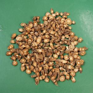 Causes Of Premature Ejaculation - Premature Ejaculation - Too Little Too Soon