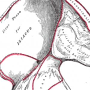 Ejaculation Control Technique - Controlling Premature Ejaculation With The Help Of Hypnosis Ejaculation Control Technique - Controlling Premature Ejaculation With The Help Of Hypnosis