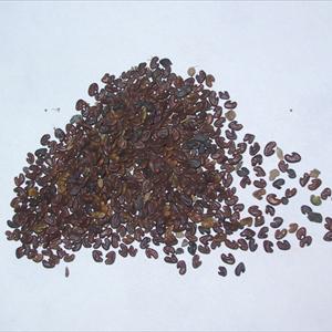 Johnson Premature Ejaculation - 5 Great Techniques To Prevent Premature Ejaculation Johnson Premature Ejaculation - 5 Great Techniques To Prevent Premature Ejaculation