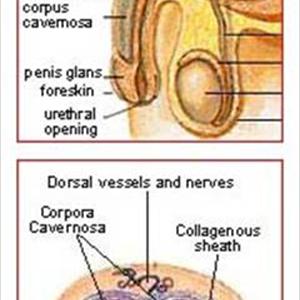 Delay Climax - Contain Your Excitement And Become A Better Lover
